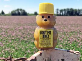 The New Smoker : "Honey Pot : Not just for calming bears."
