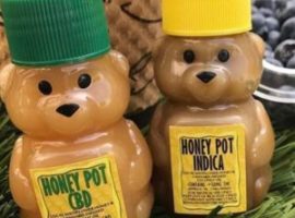 Nugg : Make and Taste These Cannabis Foods and Drinks Before Summer Ends - Featuring Honey Pot